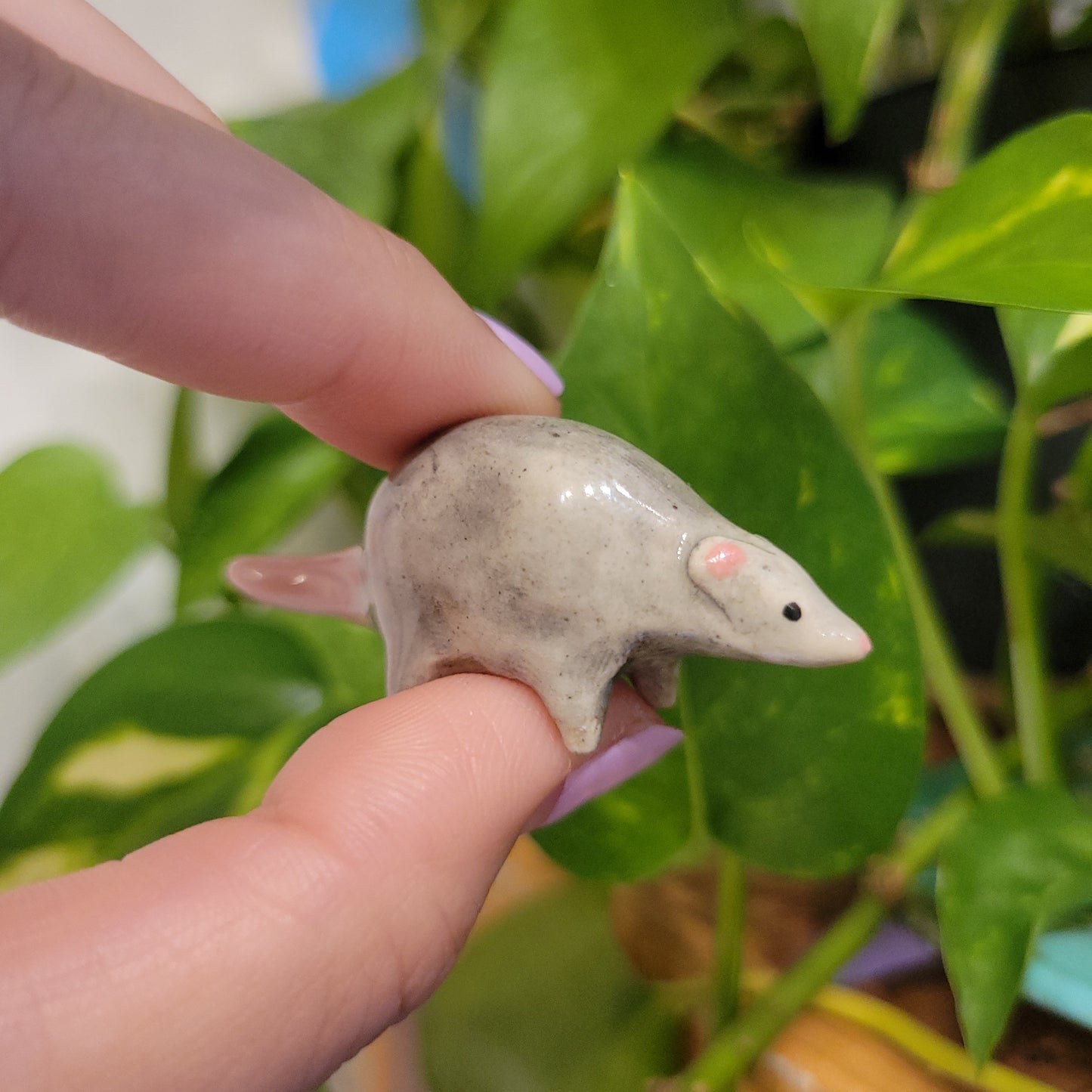 Starting Projects: Tiny Ceramic Creatures