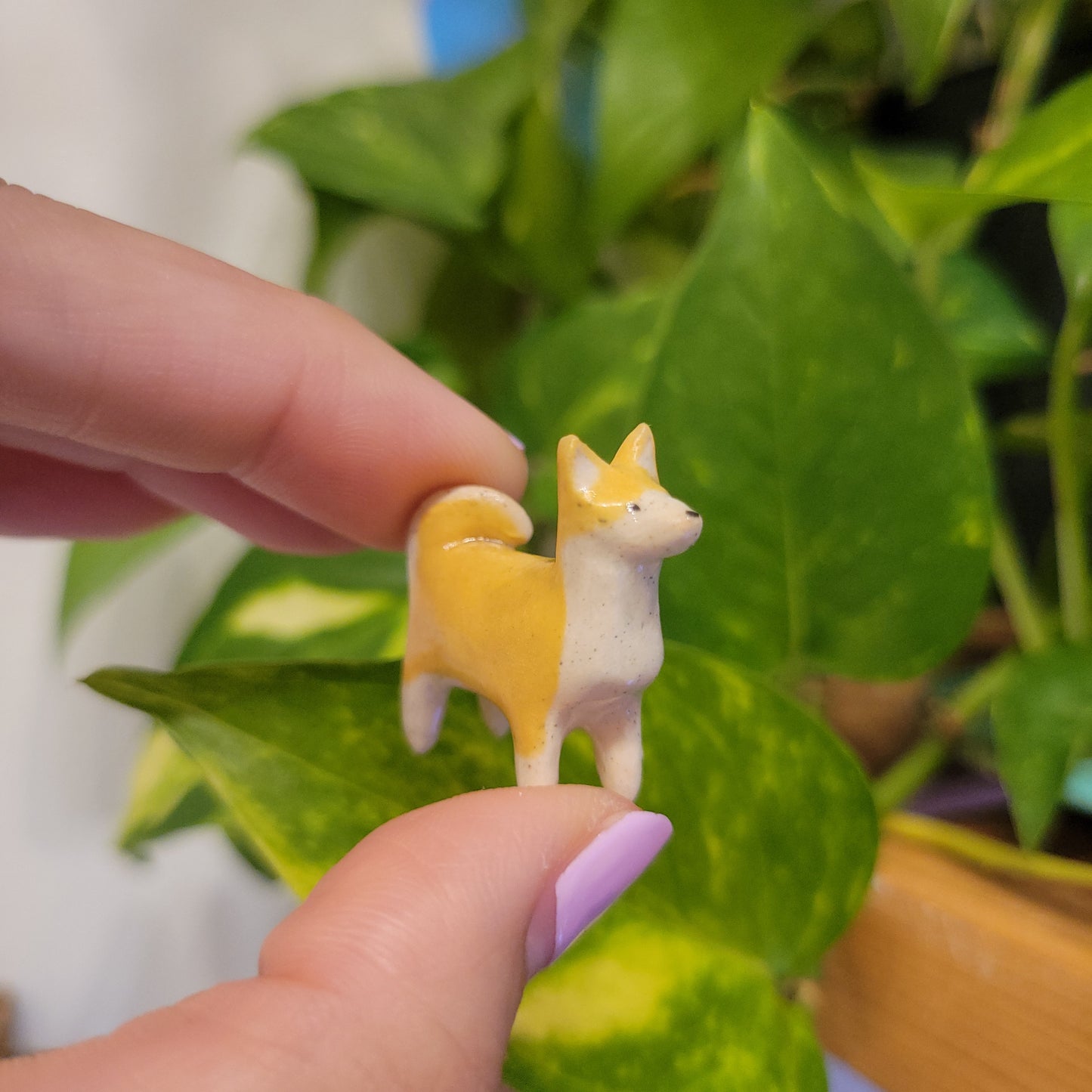 Starting Projects: Tiny Ceramic Creatures