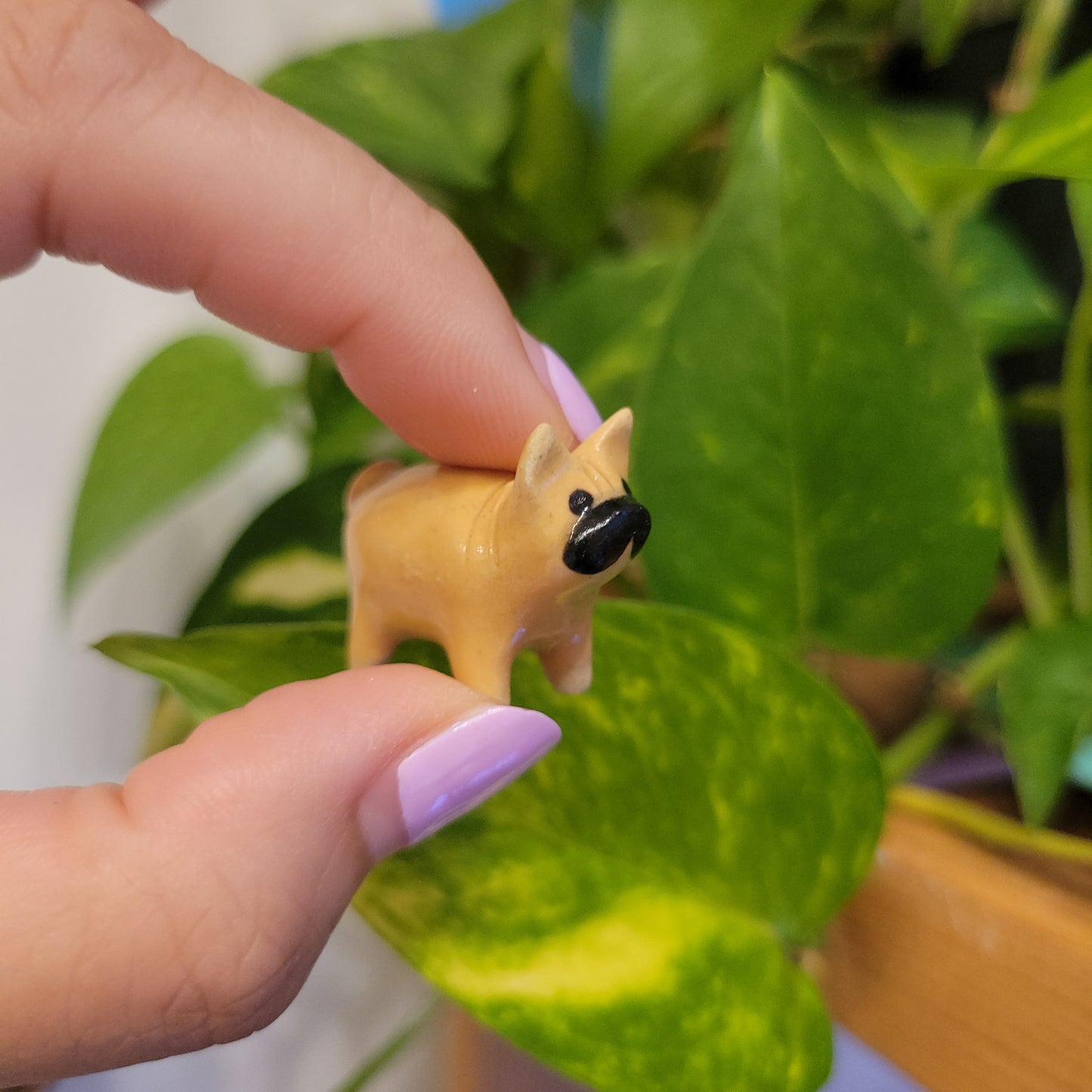 Starting Projects: Tiny Ceramic Creatures