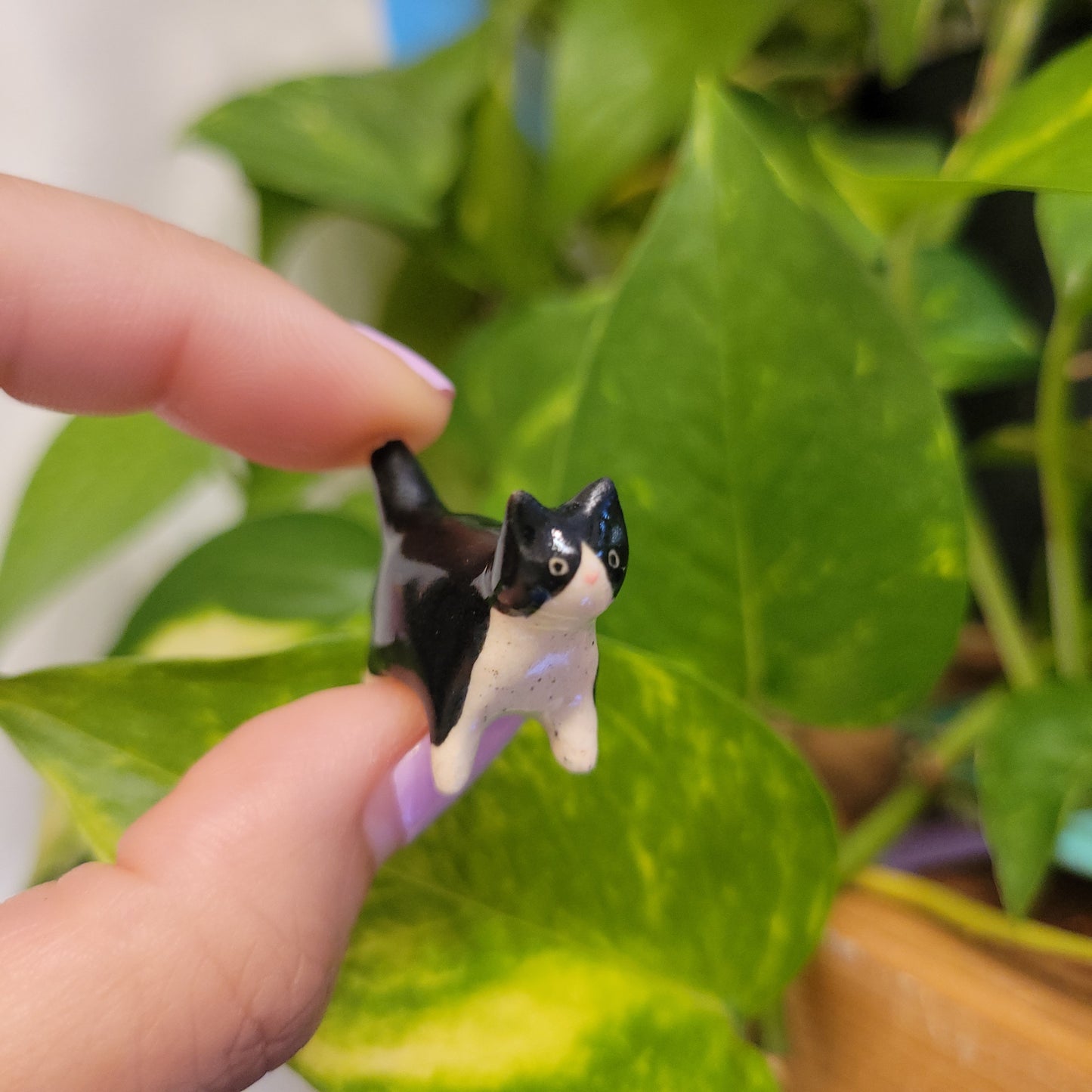 Starting Projects: Tiny Ceramic Creatures