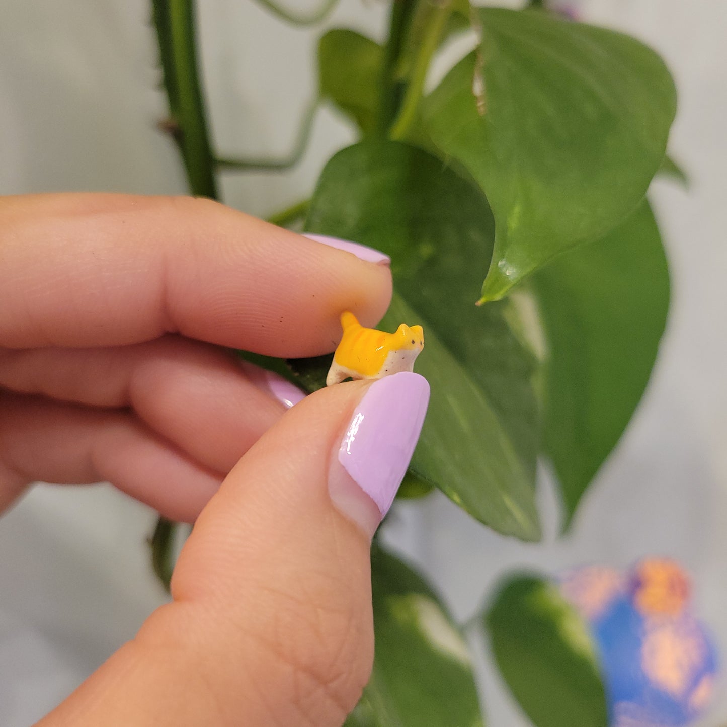 Starting Projects: Tiny Ceramic Creatures