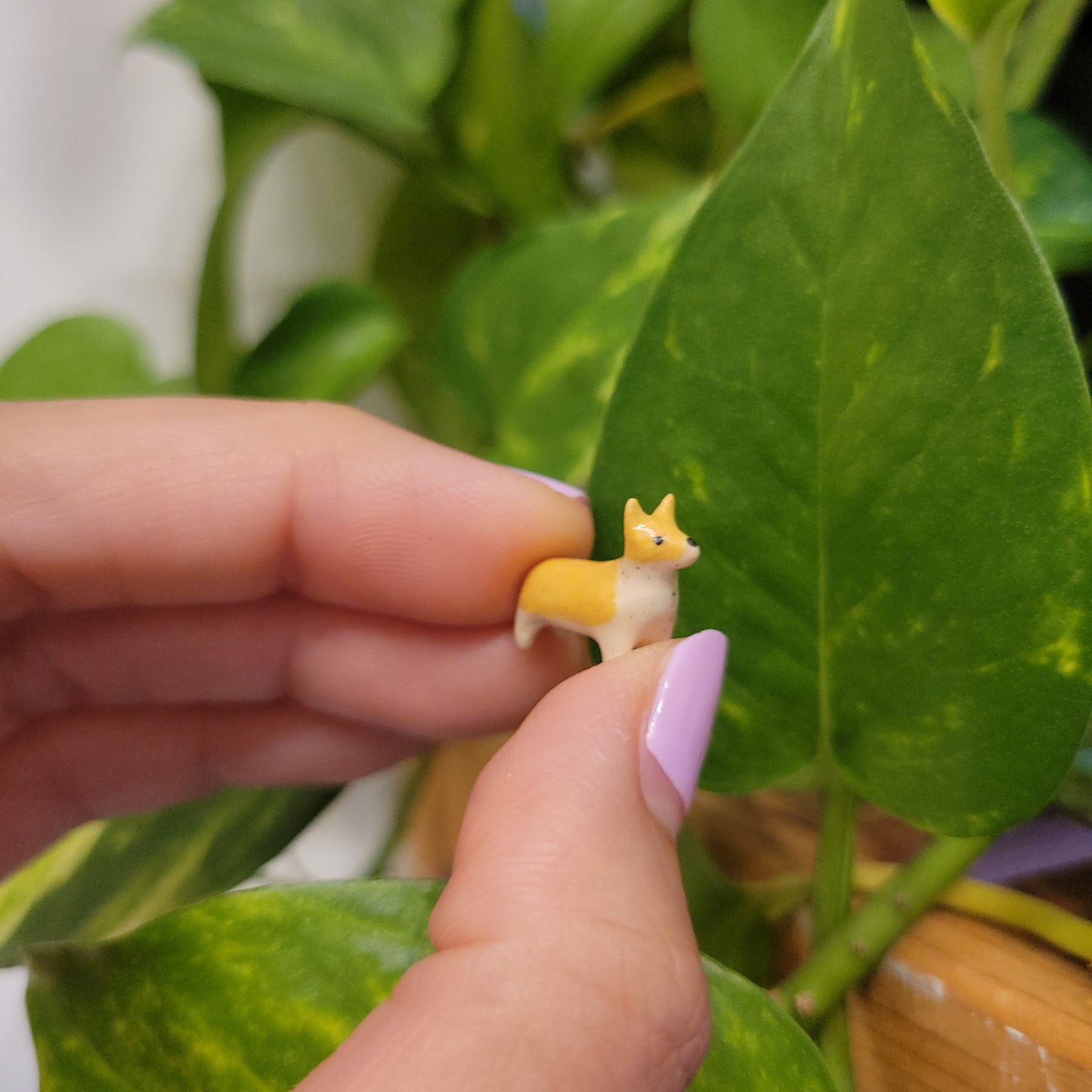 Starting Projects: Tiny Ceramic Creatures