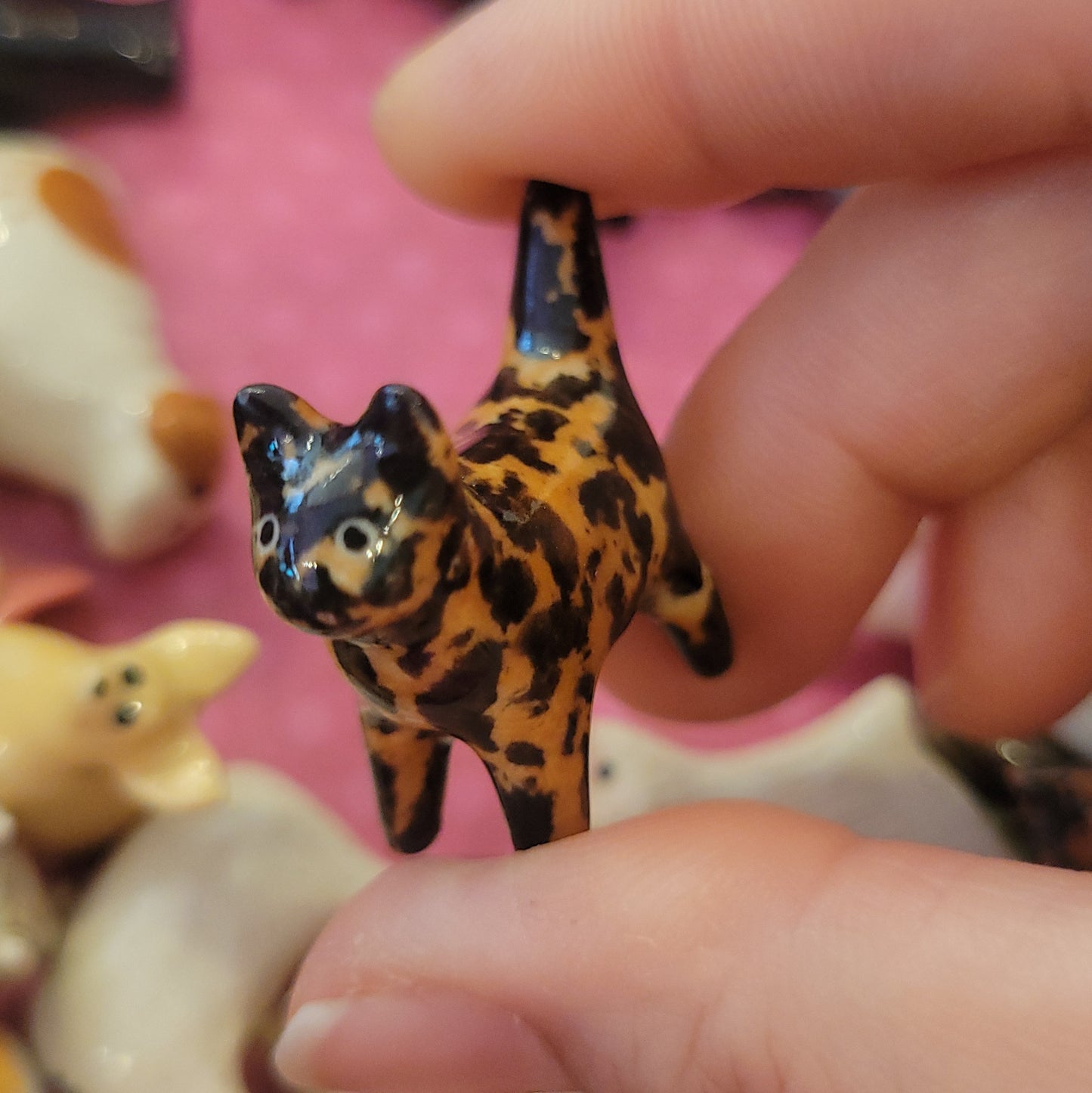 Starting Projects: Tiny Cats