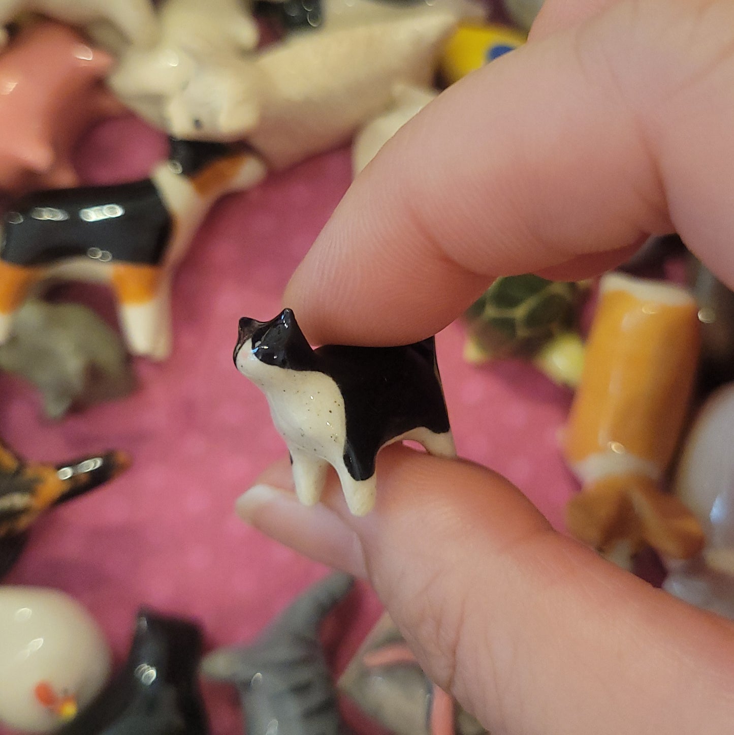 Starting Projects: Tiny Cats