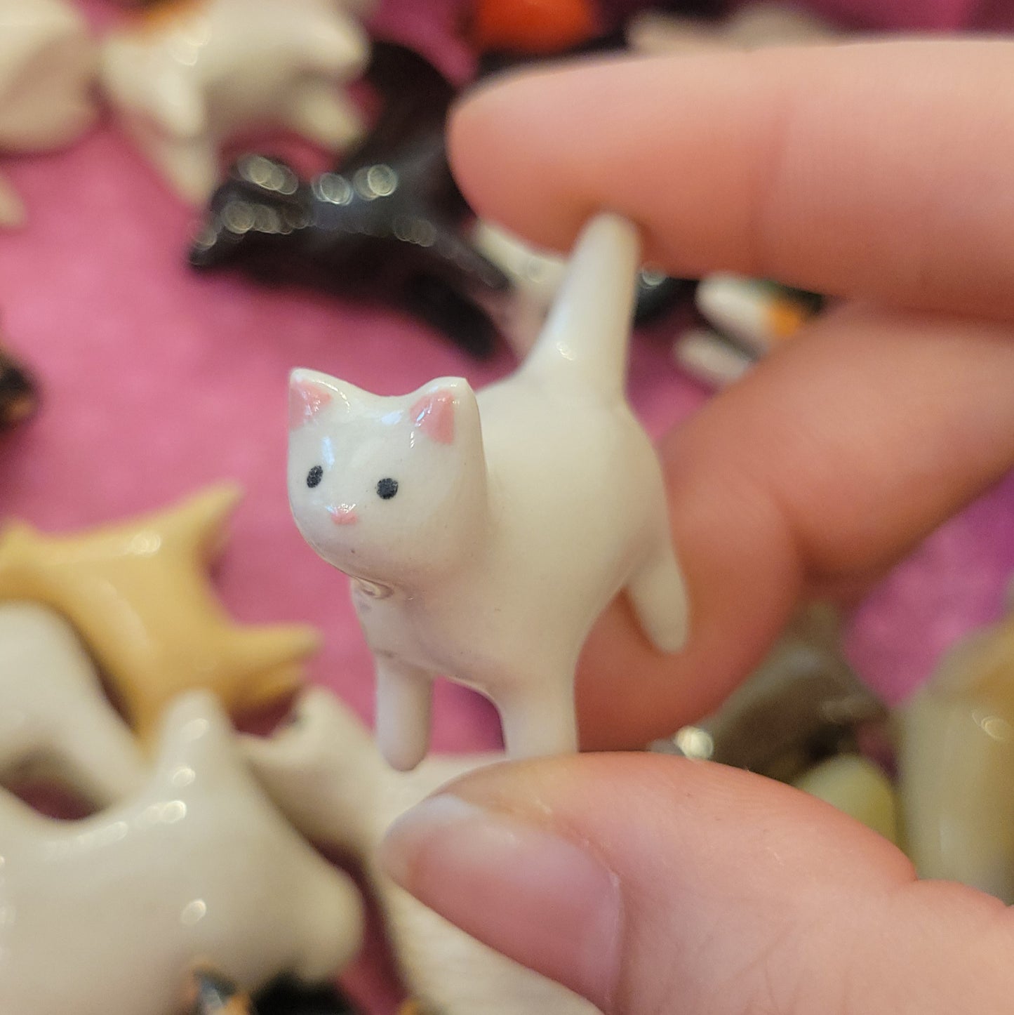 Starting Projects: Tiny Cats
