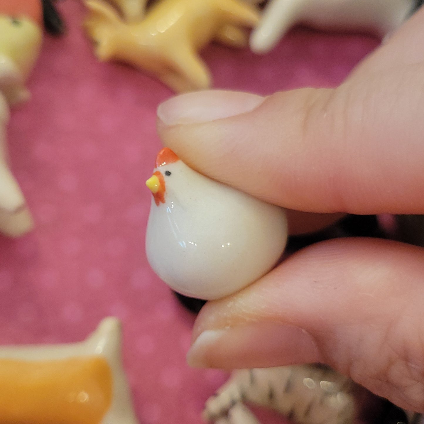 Starting Projects: Tiny Birds
