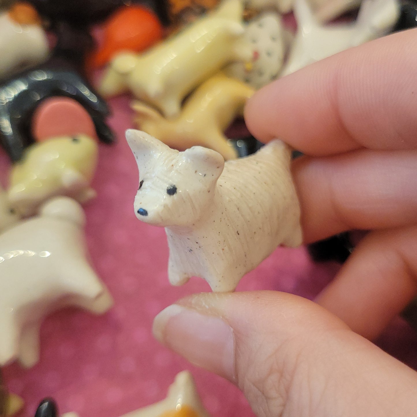 Starting Projects: Tiny Dogs