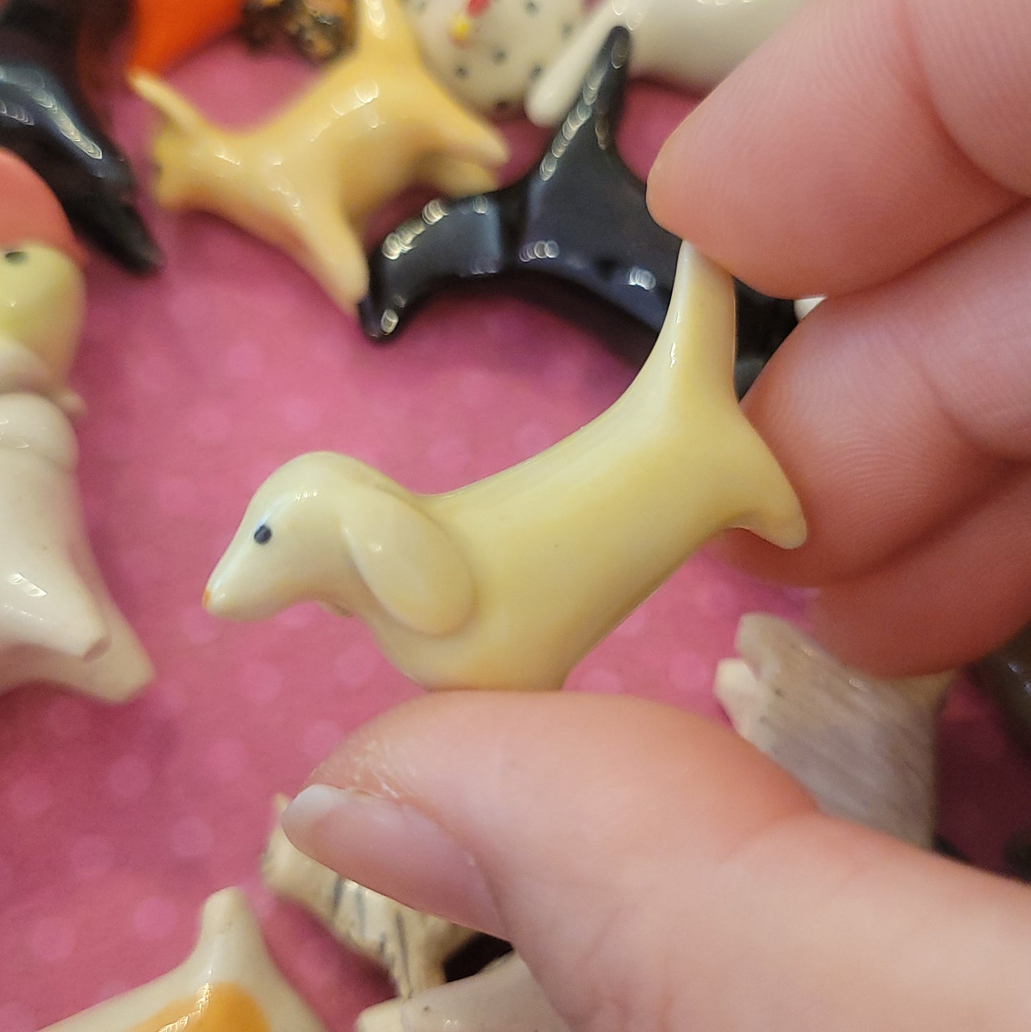 Starting Projects: Tiny Dogs