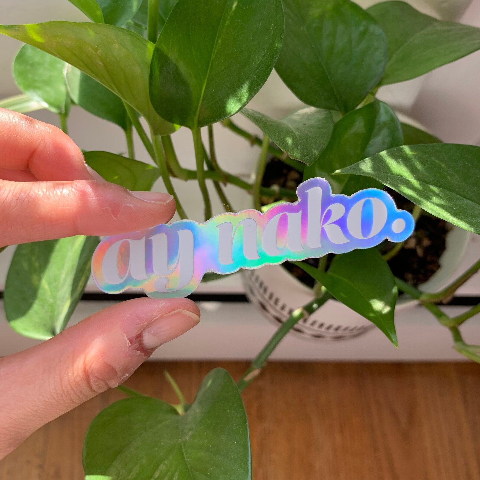 Hand holding a holographic sticker with 'ay nako.' text in front of a green plant.