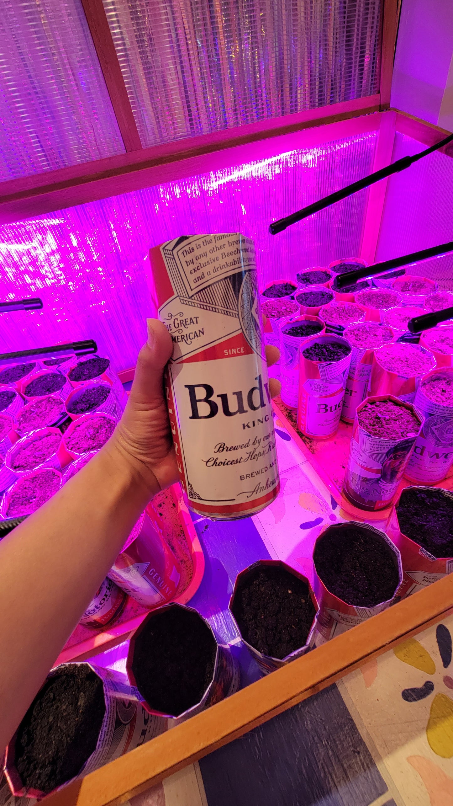 Bee Spiderman: Tall Boy Flower Garden