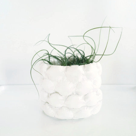 plaster plant pot Come Out to the Coast: Bubble Planter – From Here to Sunday