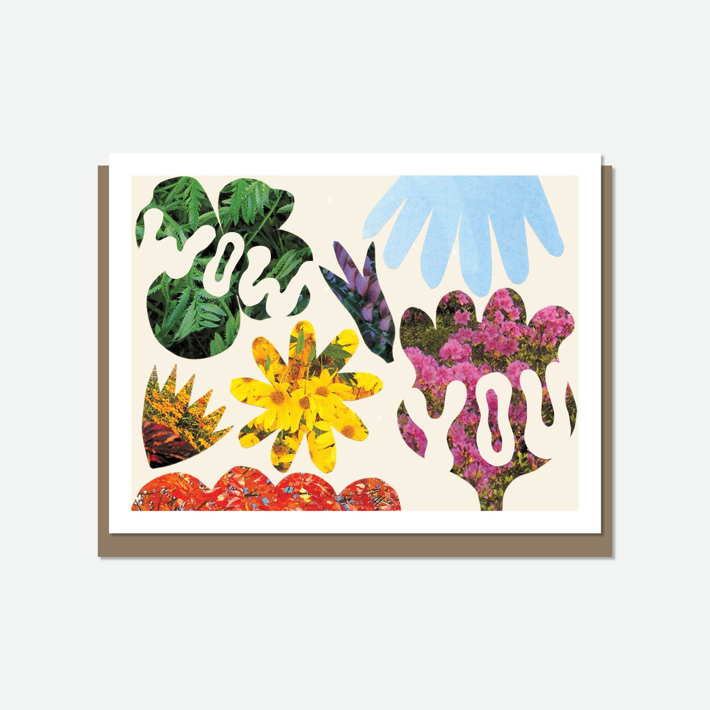 Suzie Shin: Cards