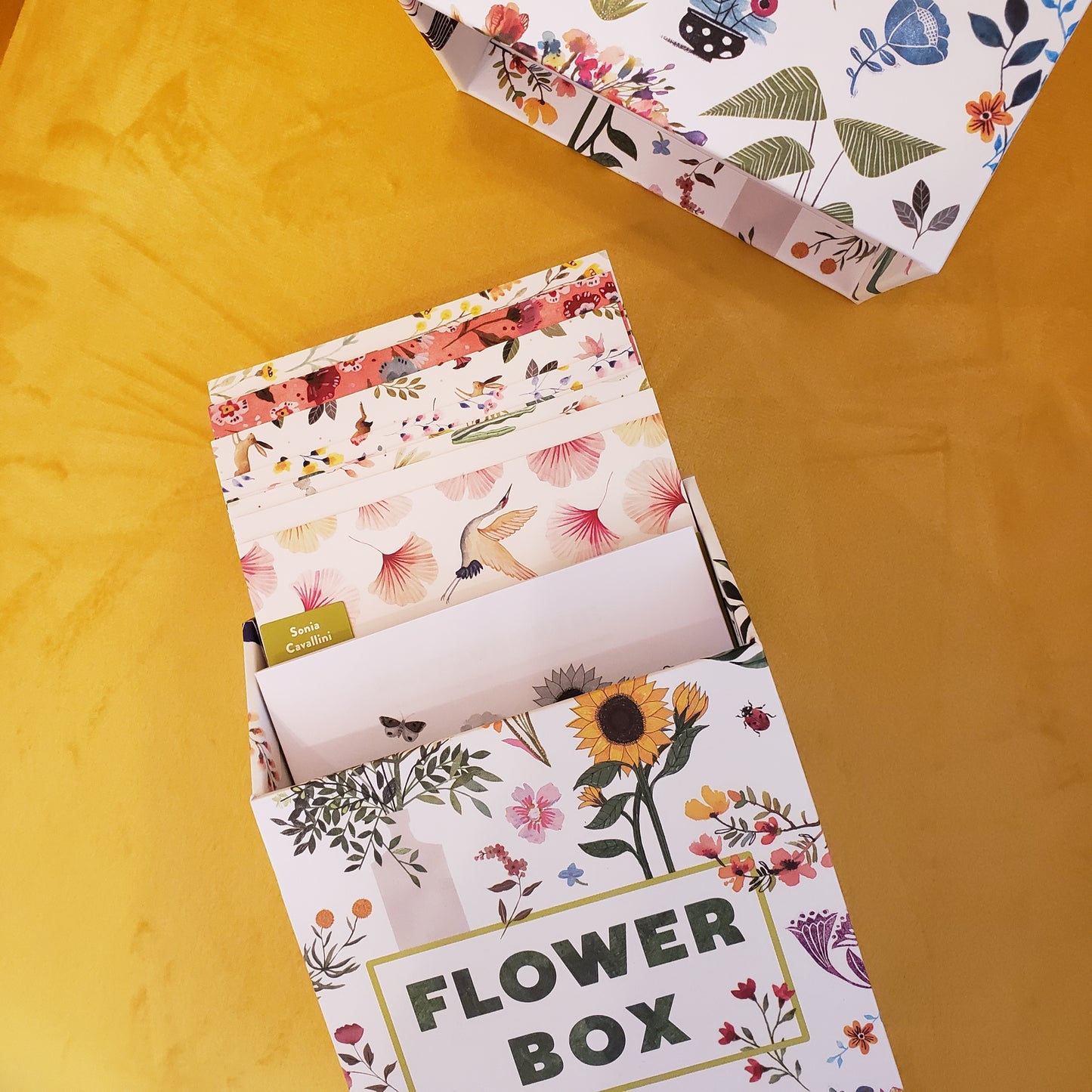 Flower Box Postcards: 100 Postcards by 10 Artists