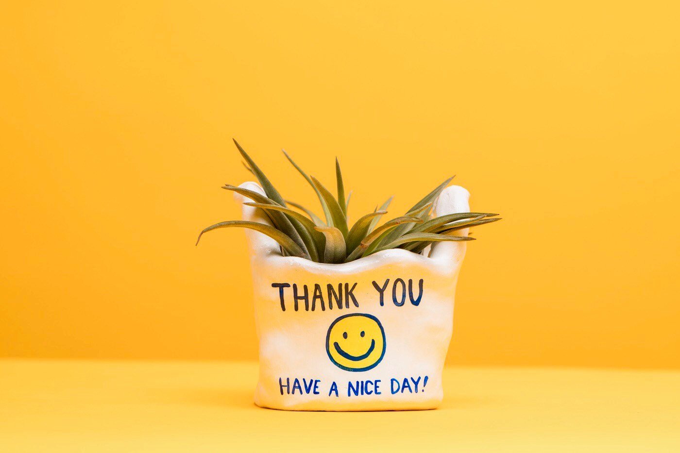 HELLO HAPPY PLANTS: Cast Planters