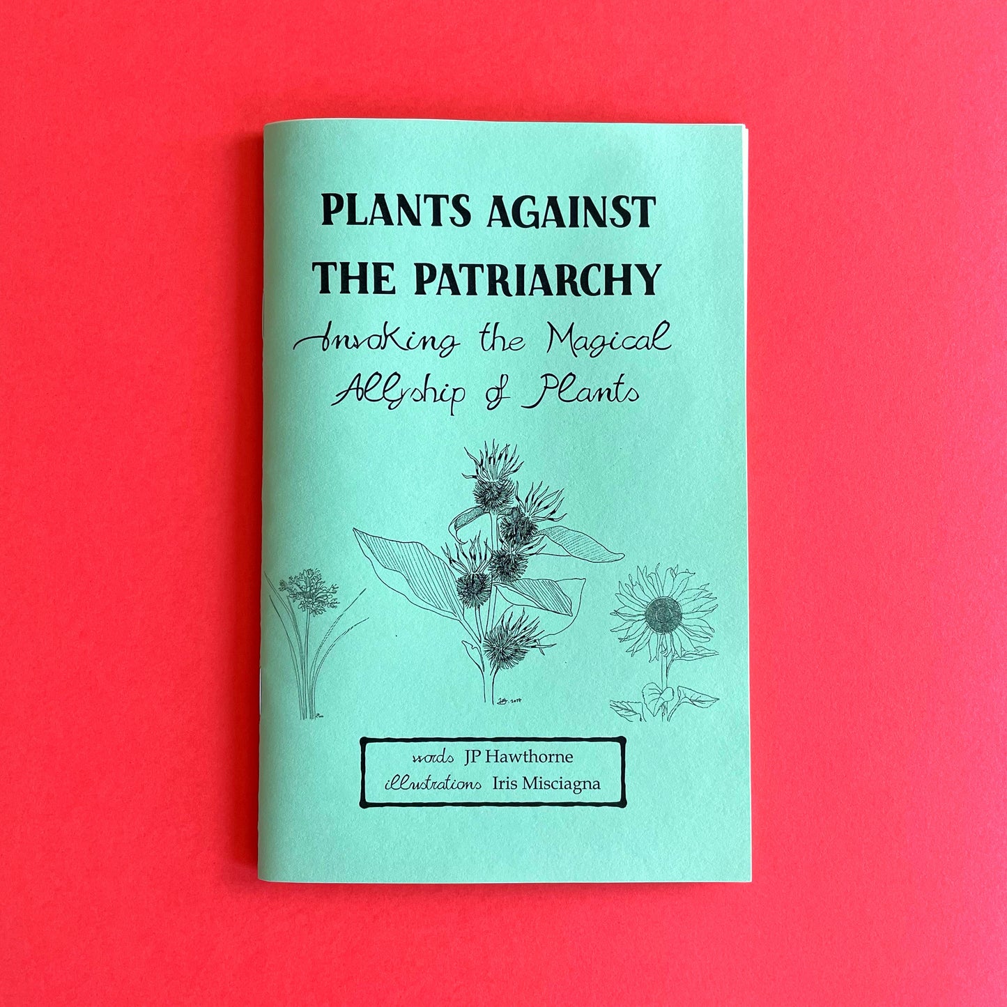 Microcosm Publishing: Zines
