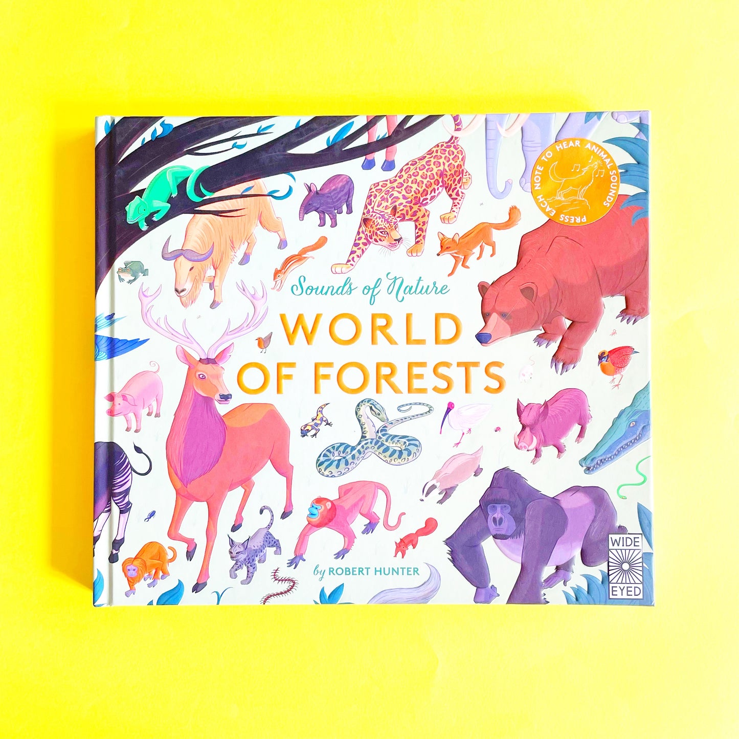 Robert Hunter: World Of Forests