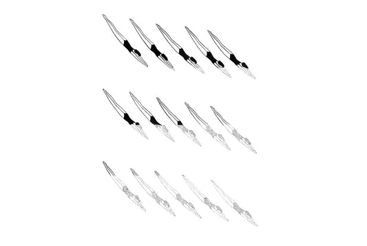 Kaye Blegvad: Prints