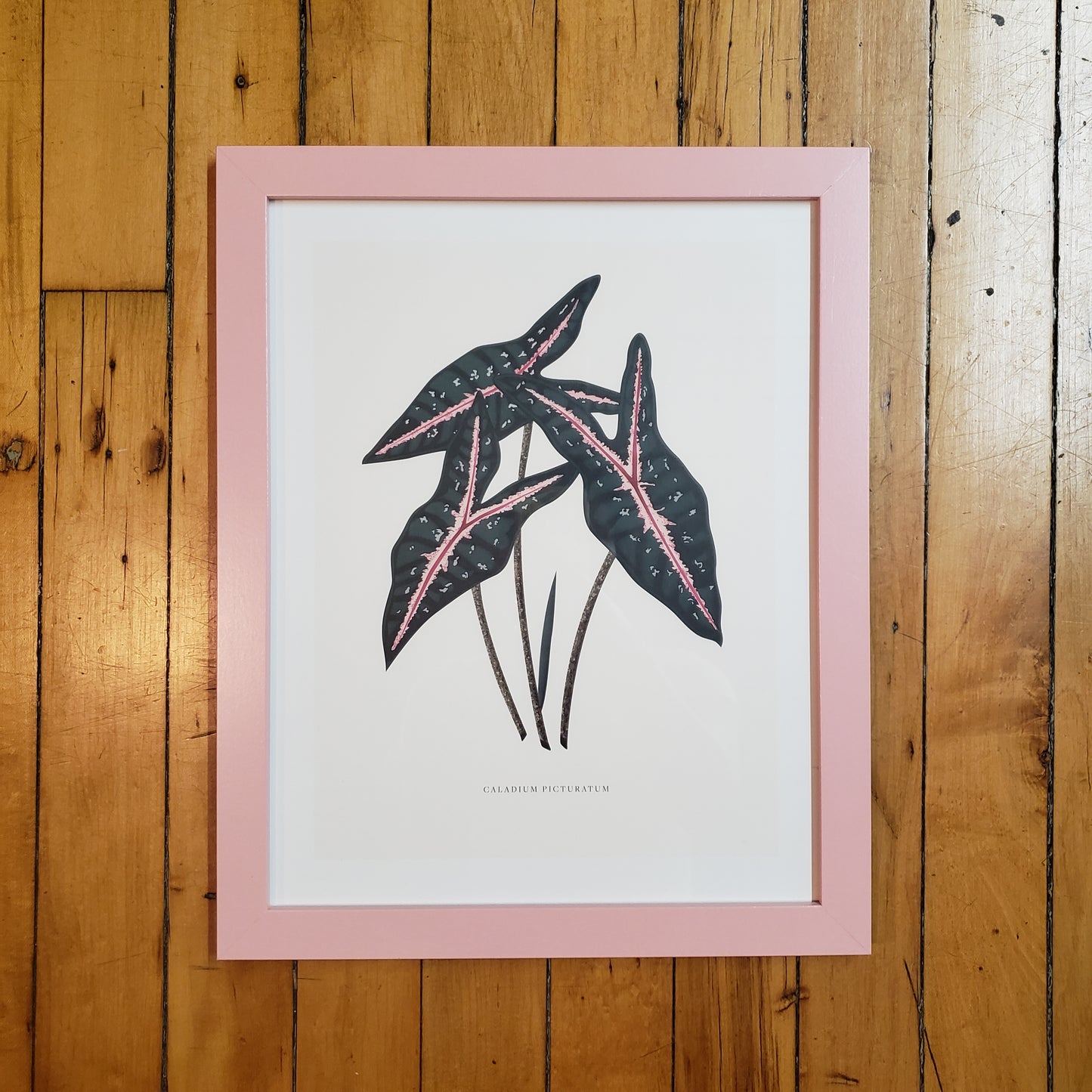Linda Gao: Plant Prints