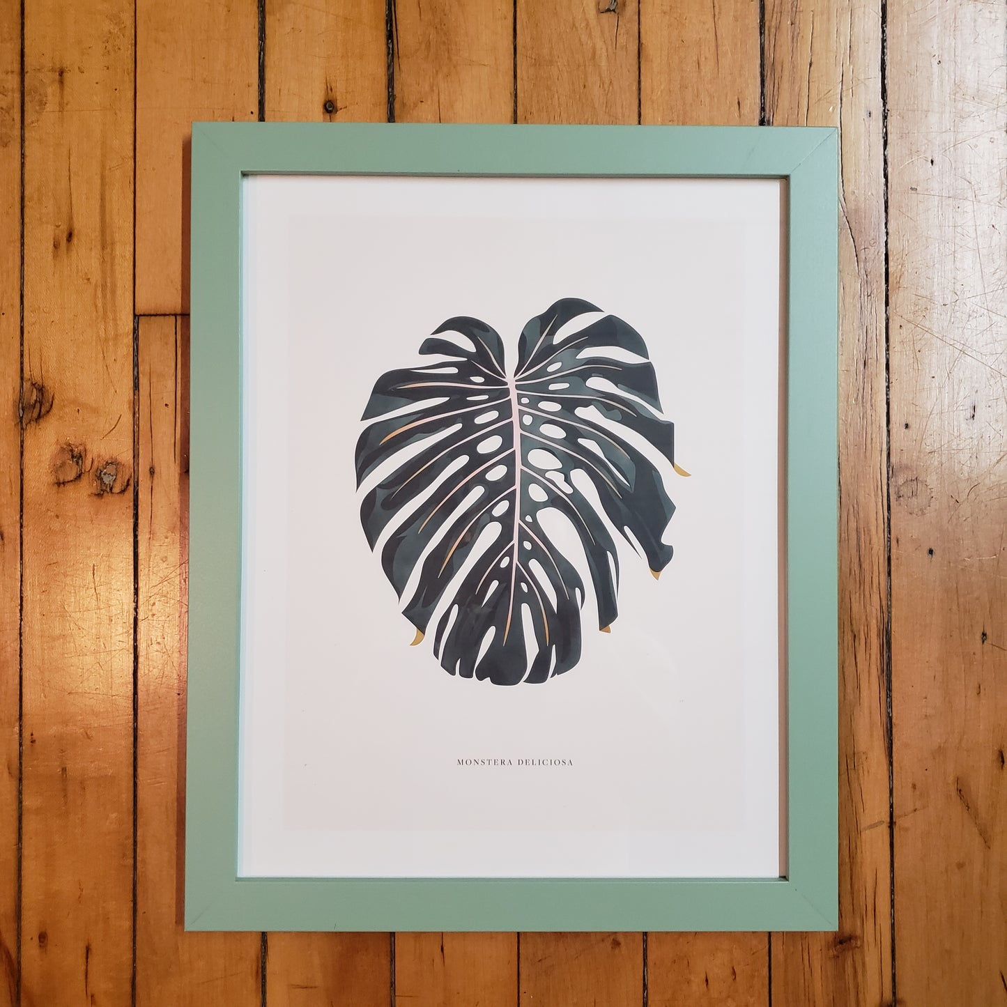 Linda Gao: Plant Prints