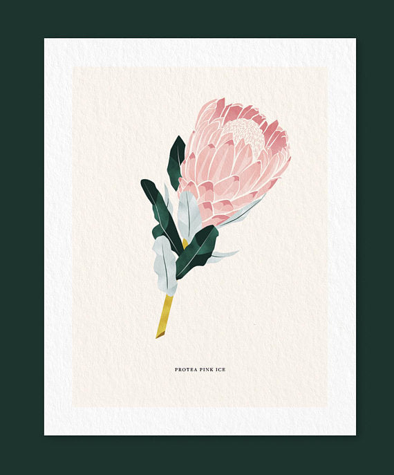 Linda Gao: Plant Prints