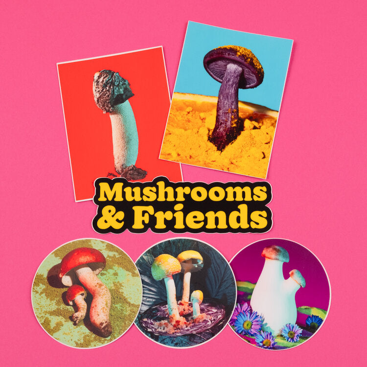 Phyllis Ma: Mushroom & Friends Sticker Pack