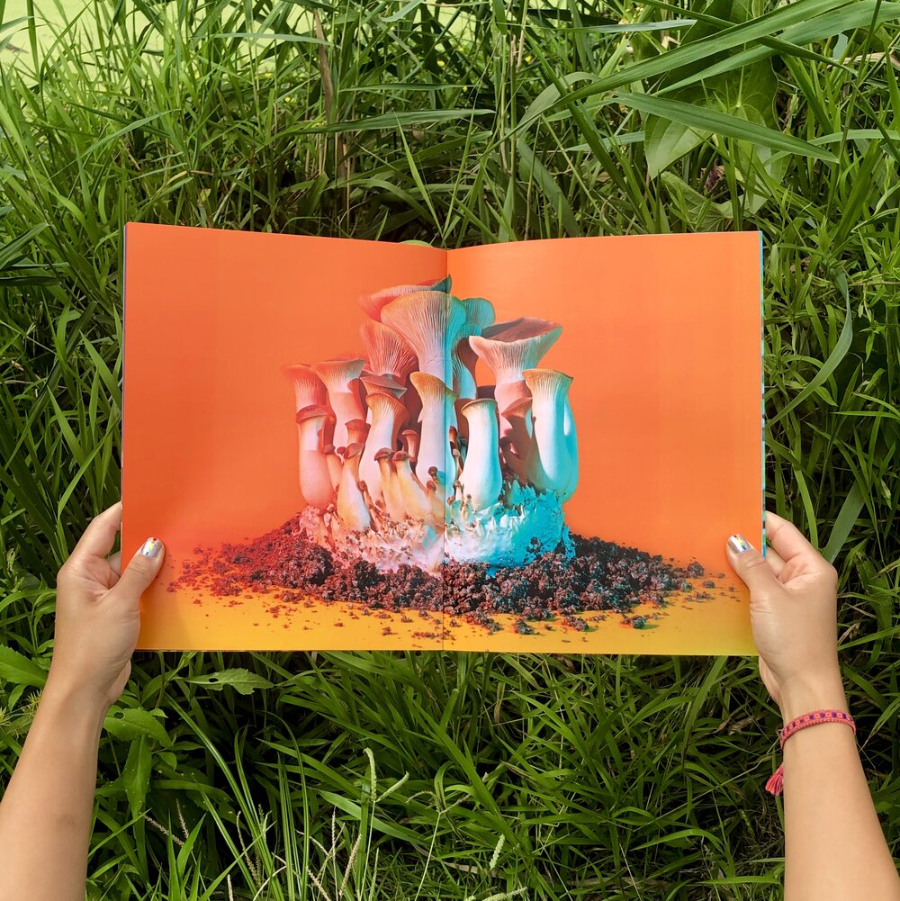 Phyllis Ma: Mushroom & Friends Zines