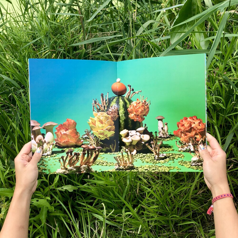 Phyllis Ma: Mushroom & Friends Zines