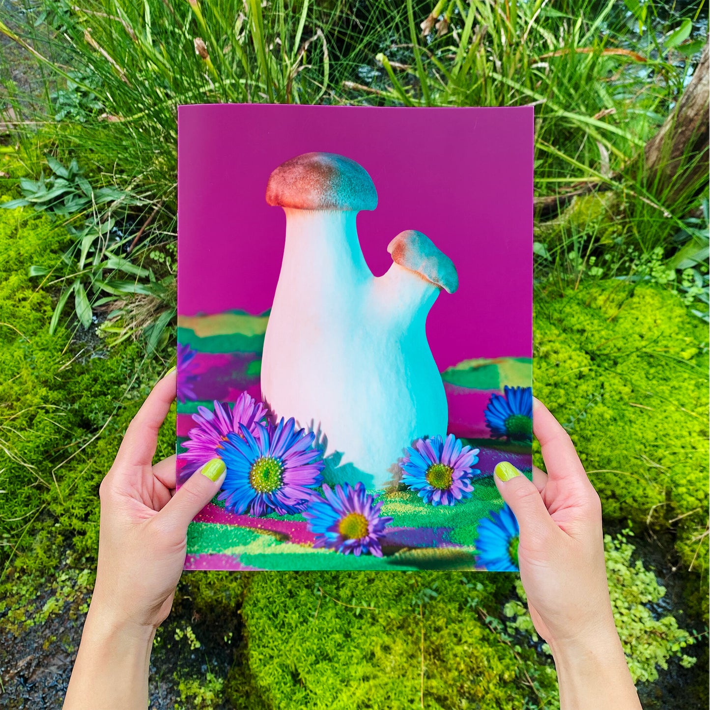 Phyllis Ma: Mushroom & Friends Zines