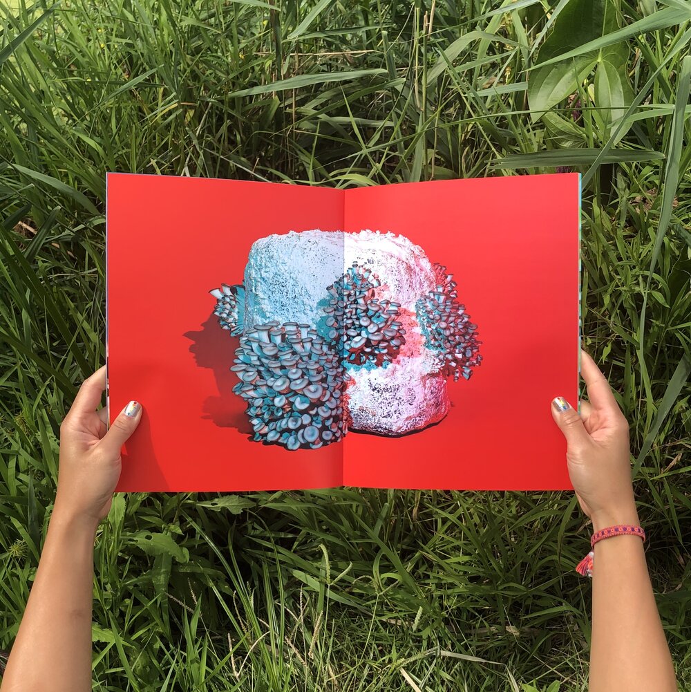 Phyllis Ma: Mushroom & Friends Zines