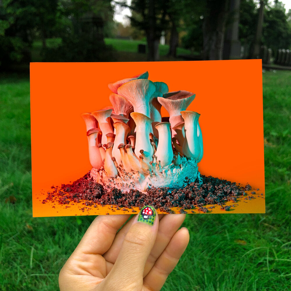 Phyllis Ma: Postcards