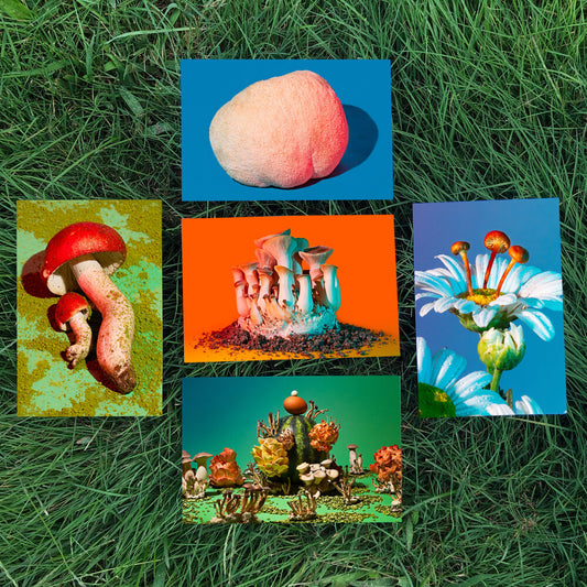 Phyllis Ma: Mushroom & Friends Postcards