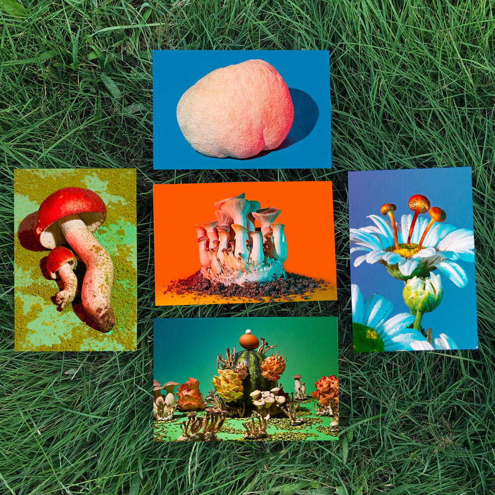 Phyllis Ma: Postcards