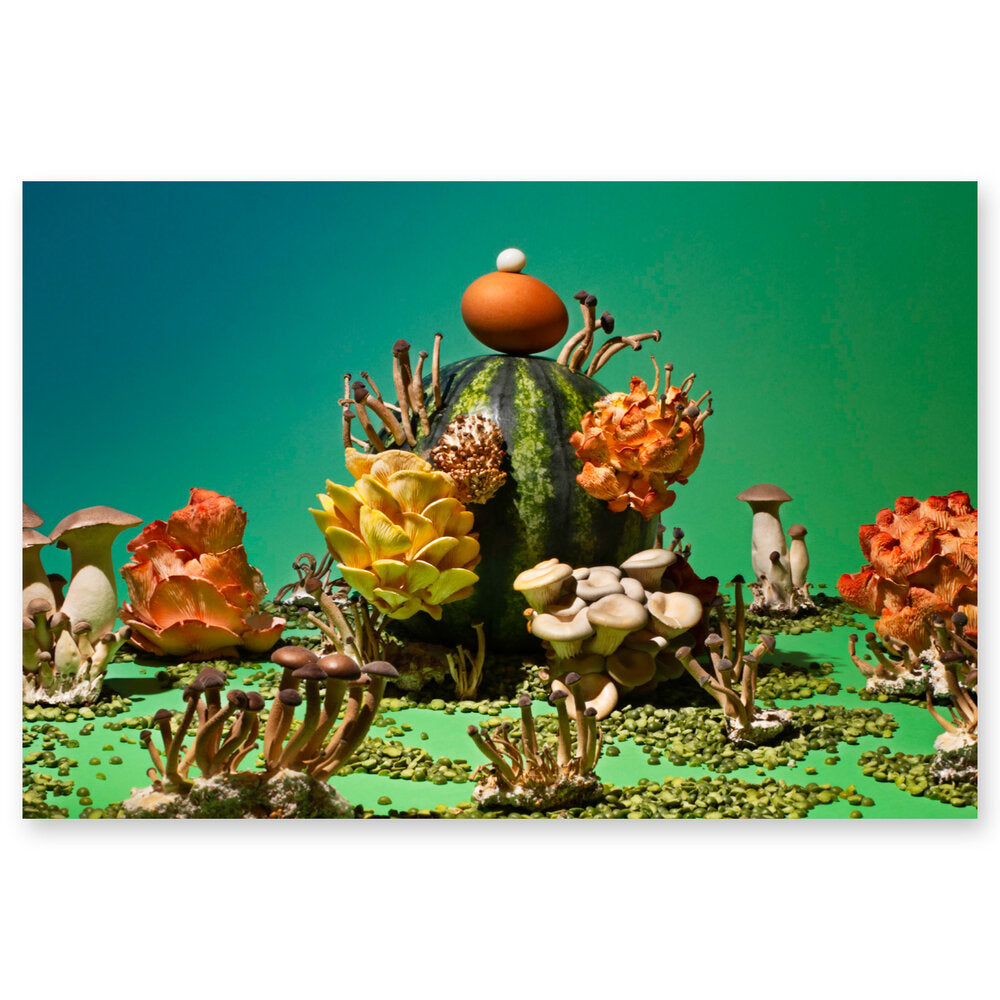 Phyllis Ma: Mushroom & Friends Postcards