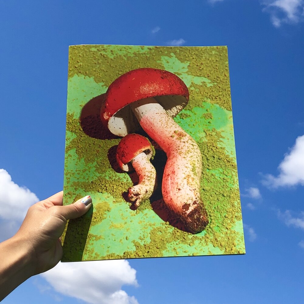 Phyllis Ma: Mushroom & Friends Zines