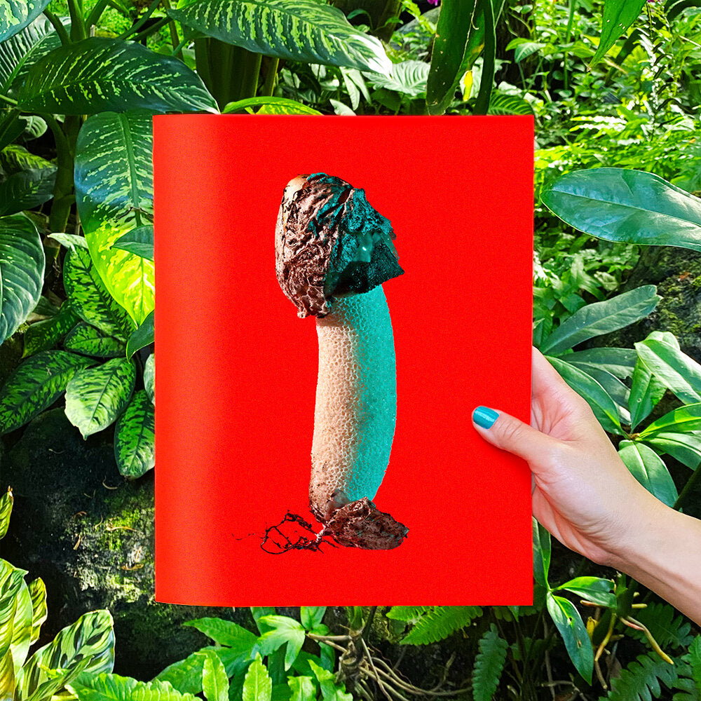 Phyllis Ma: Mushroom & Friends Zines
