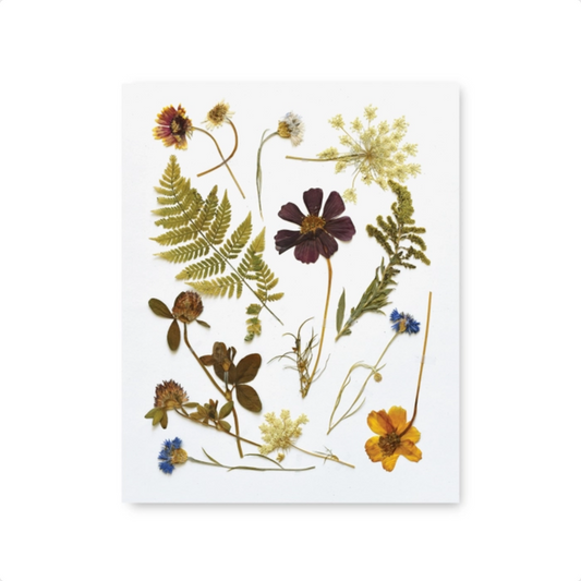 June & December: Prints