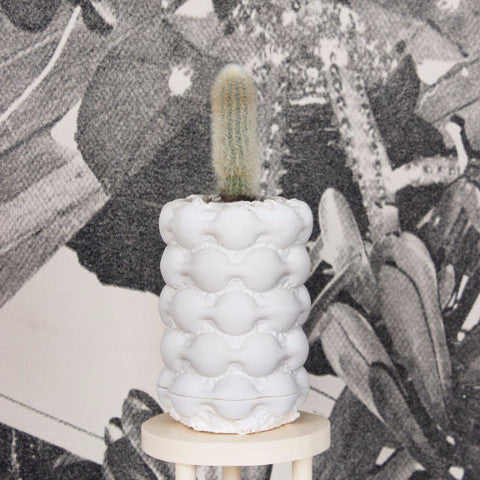 A small white plaster planter cast of large bubble wrap with a fuzzy cactus planted inside it sits on a wooden plant stand in front of a backdrop of screen printed cactus photographs.