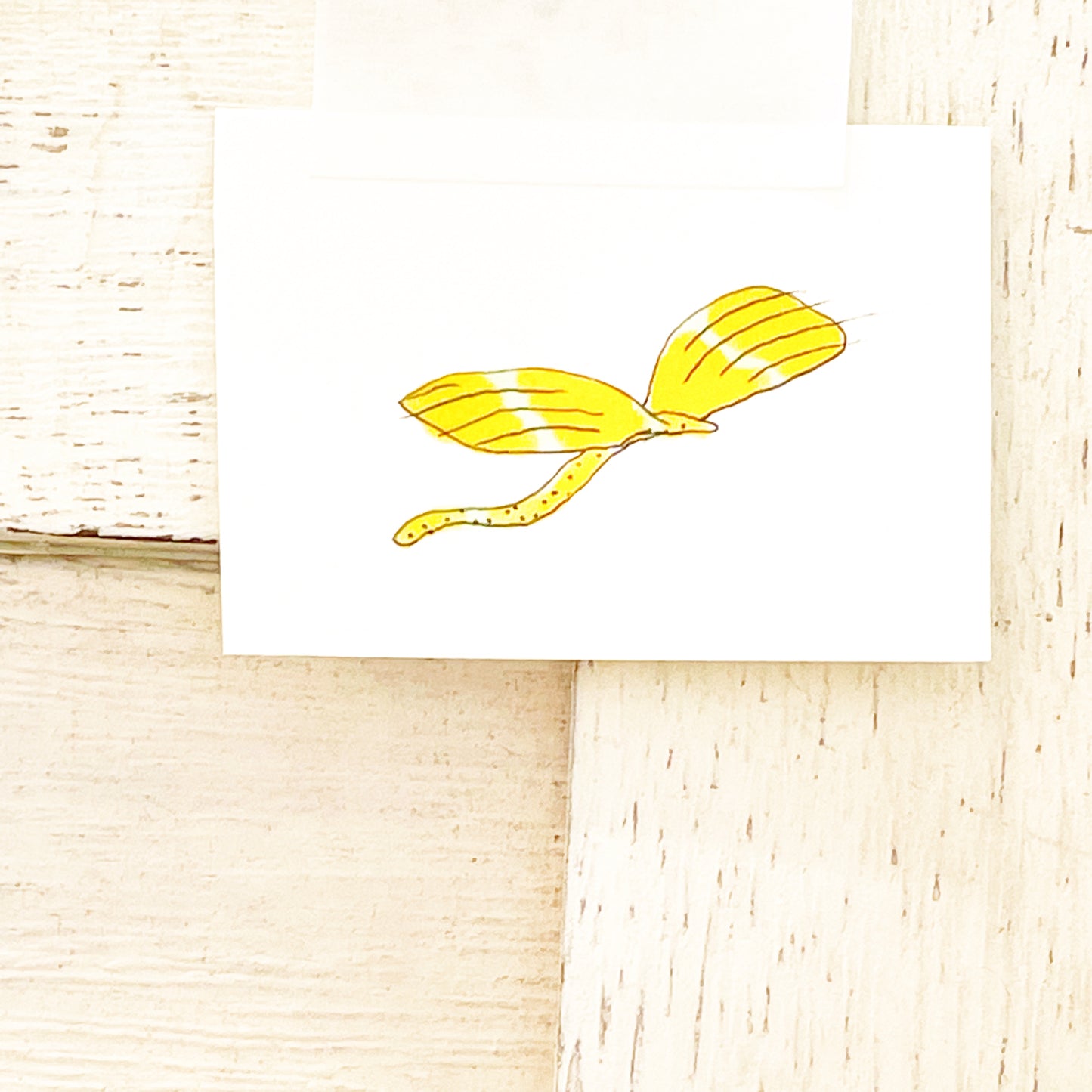 Natalie Andrewson: Bug Café Original Drawings