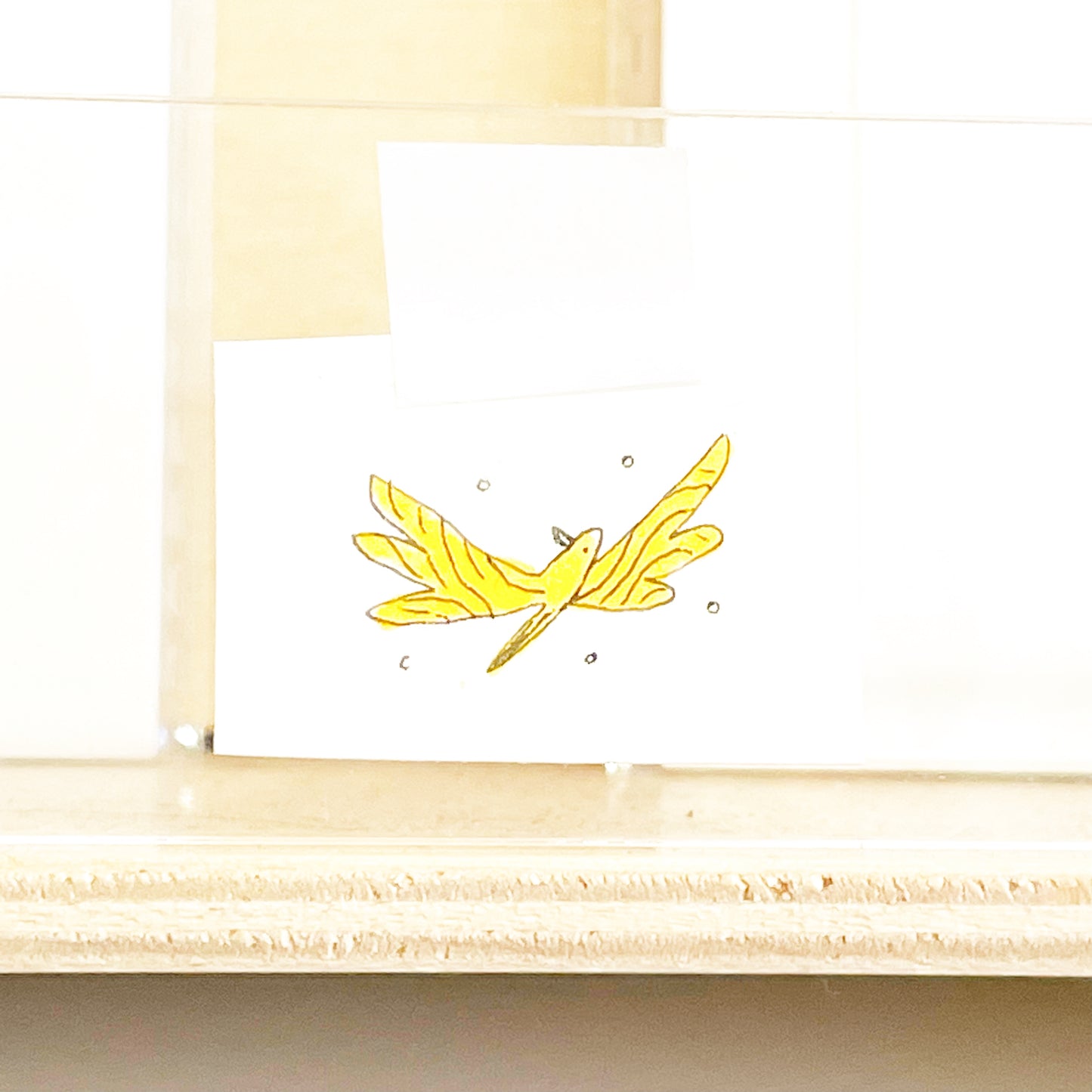 Natalie Andrewson: Bug Café Original Drawings