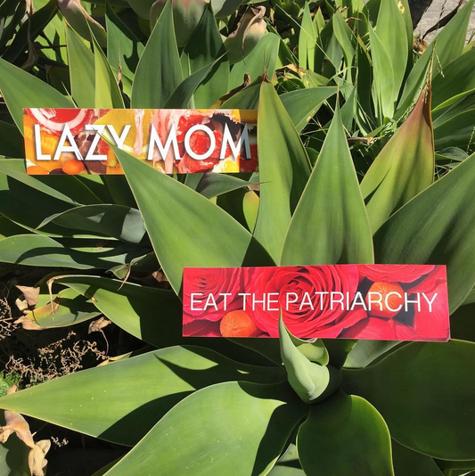 LAZY MOM: Bumper Stickers